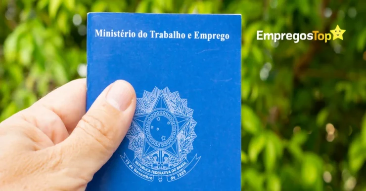 Santa Catarina registra mais de 8700 oportunidades de emprego